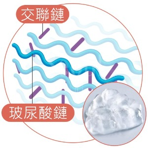 凝膠型玻尿酸結構示意圖，玻尿酸鏈以交聯鏈連接成完全交聯的固態凝膠