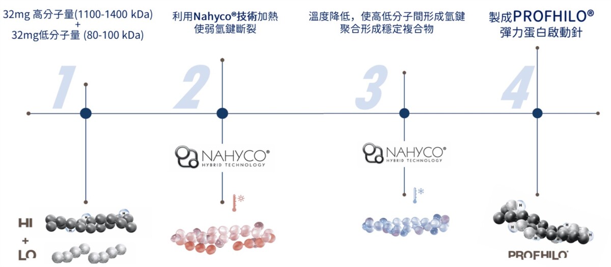 PROFHILO 逆時針 NAHYCO 專利熱能聚合製程示意圖，高分子與低分子玻尿酸以氫鍵形成穩定複合體
